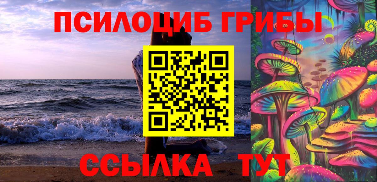 Галлюциногенные грибы прущие грибы  Галлюциногенные грибы мицелий  Коломна  Вход с VPN 