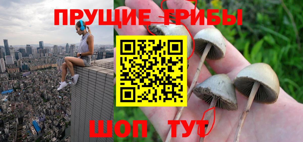Псилоцибиновые грибы Cubensis Коломна